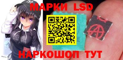 стаф Кунгур