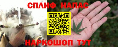 стаф Кунгур