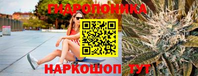 стаф Кунгур