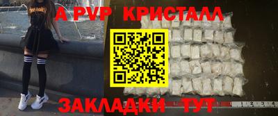 стаф Кунгур